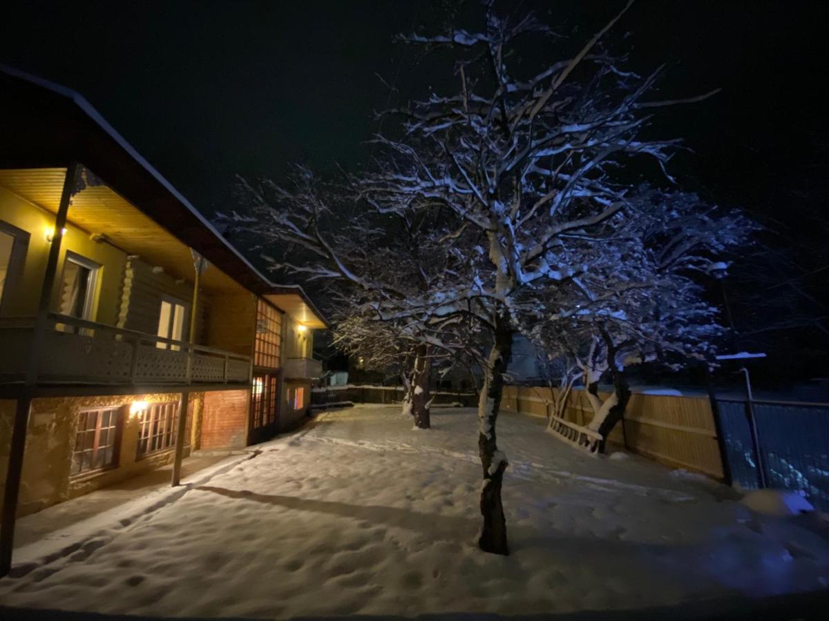 Art Villa 巴库里阿尼 外观 照片